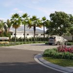 Discover Thyme Palm Cove